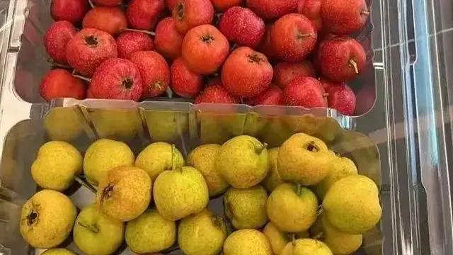 癌剂”！看看3种高含量水果你吃过没？m6米乐app这种糖被认为“天然抗