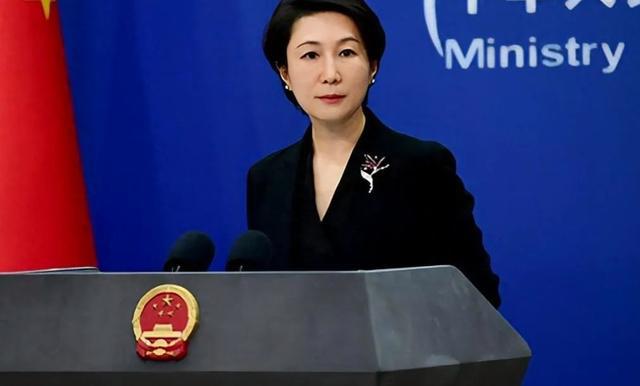 矩到访的岩屋毅口气变得老老实实m6米乐注册中方提前立了3个规(图3)